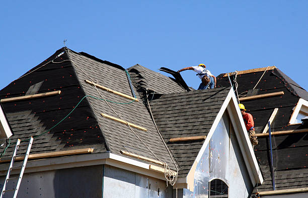 Best Roof Maintenance Services  in Ricardo, TX