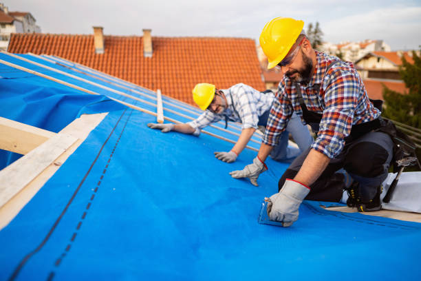 Gutter Installation and Roofing in Ricardo, TX