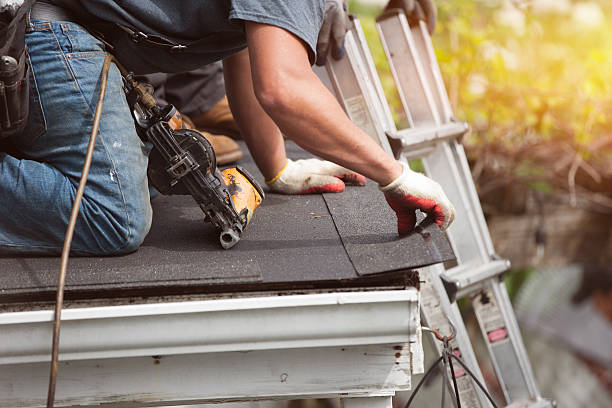 Best Storm Damage Roof Repair  in Ricardo, TX